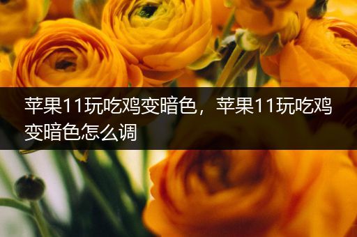 苹果11玩吃鸡变暗色，苹果11玩吃鸡变暗色怎么调
