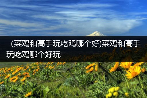 （菜鸡和高手玩吃鸡哪个好)菜鸡和高手玩吃鸡哪个好玩
