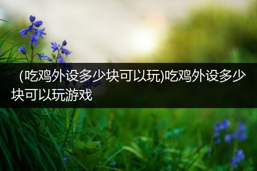 （吃鸡外设多少块可以玩)吃鸡外设多少块可以玩游戏