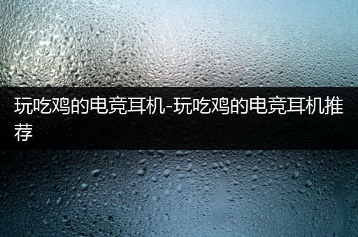 玩吃鸡的电竞耳机-玩吃鸡的电竞耳机推荐