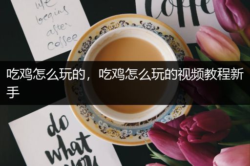 吃鸡怎么玩的，吃鸡怎么玩的视频教程新手