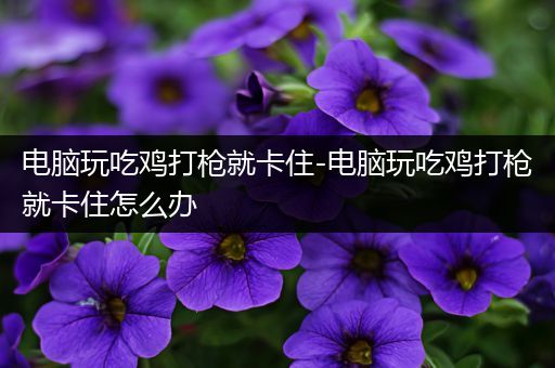 电脑玩吃鸡打枪就卡住-电脑玩吃鸡打枪就卡住怎么办