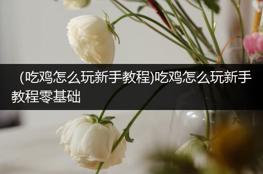 （吃鸡怎么玩新手教程)吃鸡怎么玩新手教程零基础