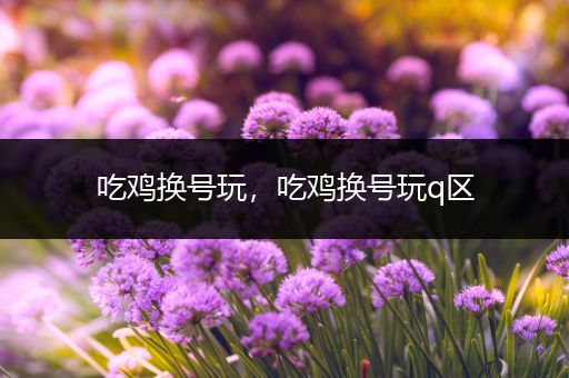 吃鸡换号玩，吃鸡换号玩q区