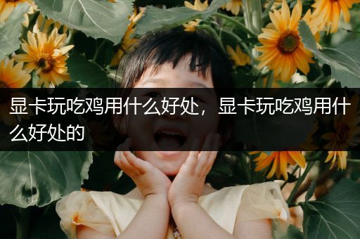 显卡玩吃鸡用什么好处，显卡玩吃鸡用什么好处的