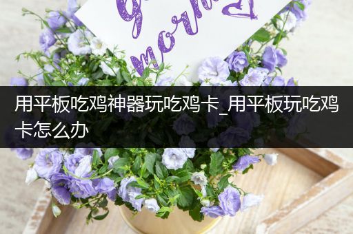 用平板吃鸡神器玩吃鸡卡_用平板玩吃鸡卡怎么办
