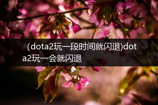 （dota2玩一段时间就闪退)dota2玩一会就闪退