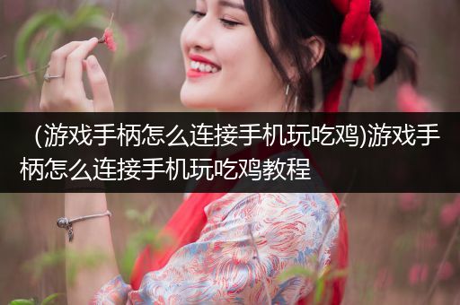 （游戏手柄怎么连接手机玩吃鸡)游戏手柄怎么连接手机玩吃鸡教程