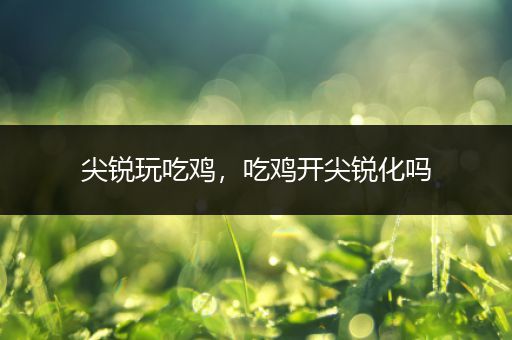 尖锐玩吃鸡，吃鸡开尖锐化吗