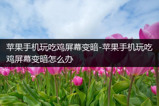 苹果手机玩吃鸡屏幕变暗-苹果手机玩吃鸡屏幕变暗怎么办