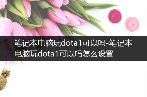 笔记本电脑玩dota1可以吗-笔记本电脑玩dota1可以吗怎么设置