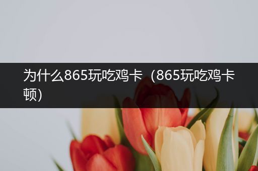 为什么865玩吃鸡卡（865玩吃鸡卡顿）