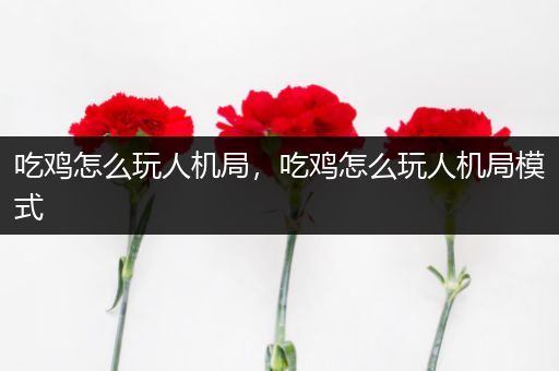 吃鸡怎么玩人机局，吃鸡怎么玩人机局模式