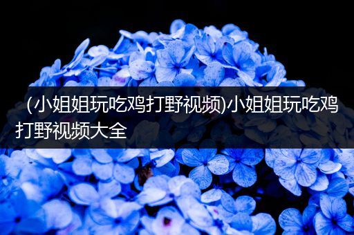 （小姐姐玩吃鸡打野视频)小姐姐玩吃鸡打野视频大全