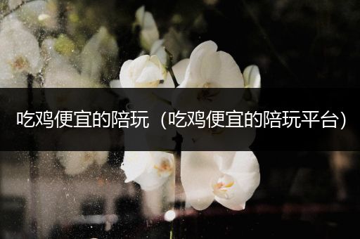 吃鸡便宜的陪玩（吃鸡便宜的陪玩平台）