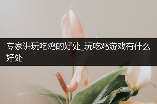 专家讲玩吃鸡的好处_玩吃鸡游戏有什么好处
