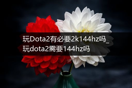 玩Dota2有必要2k144hz吗_玩dota2需要144hz吗