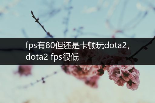 fps有80但还是卡顿玩dota2，dota2 fps很低