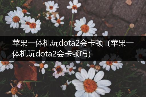 苹果一体机玩dota2会卡顿（苹果一体机玩dota2会卡顿吗）