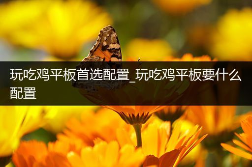 玩吃鸡平板首选配置_玩吃鸡平板要什么配置