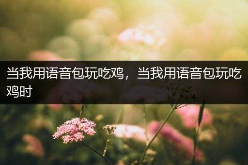 当我用语音包玩吃鸡，当我用语音包玩吃鸡时