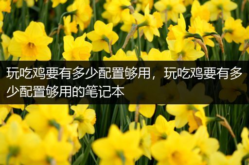 玩吃鸡要有多少配置够用，玩吃鸡要有多少配置够用的笔记本