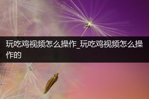 玩吃鸡视频怎么操作_玩吃鸡视频怎么操作的