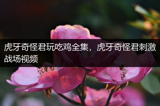 虎牙奇怪君玩吃鸡全集，虎牙奇怪君刺激战场视频