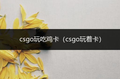 csgo玩吃鸡卡（csgo玩着卡）