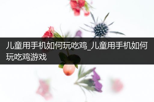 儿童用手机如何玩吃鸡_儿童用手机如何玩吃鸡游戏