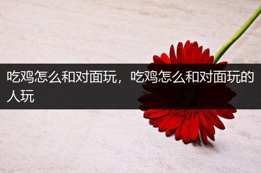 吃鸡怎么和对面玩，吃鸡怎么和对面玩的人玩