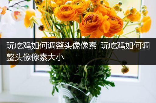 玩吃鸡如何调整头像像素-玩吃鸡如何调整头像像素大小