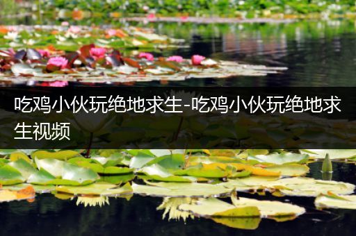 吃鸡小伙玩绝地求生-吃鸡小伙玩绝地求生视频