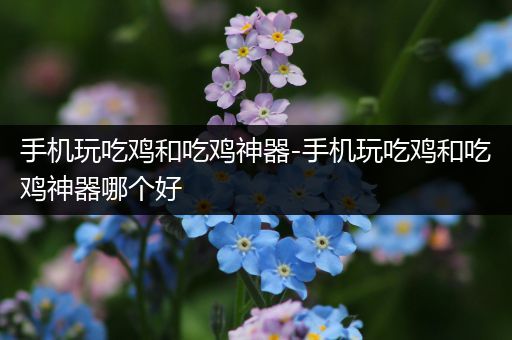手机玩吃鸡和吃鸡神器-手机玩吃鸡和吃鸡神器哪个好