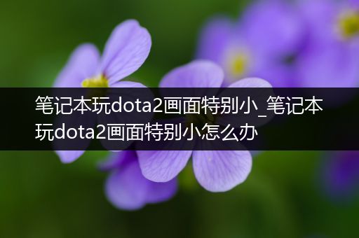 笔记本玩dota2画面特别小_笔记本玩dota2画面特别小怎么办