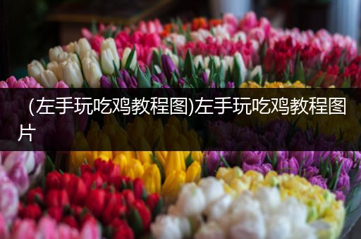 （左手玩吃鸡教程图)左手玩吃鸡教程图片