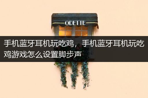手机蓝牙耳机玩吃鸡，手机蓝牙耳机玩吃鸡游戏怎么设置脚步声