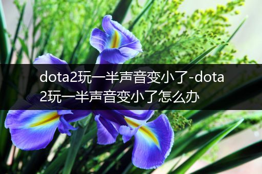 dota2玩一半声音变小了-dota2玩一半声音变小了怎么办