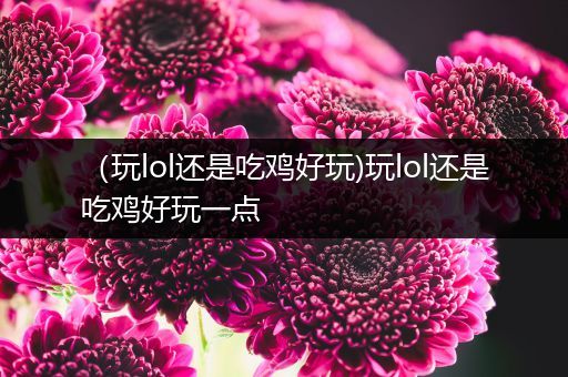 （玩lol还是吃鸡好玩)玩lol还是吃鸡好玩一点