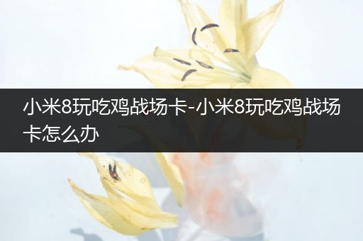 小米8玩吃鸡战场卡-小米8玩吃鸡战场卡怎么办
