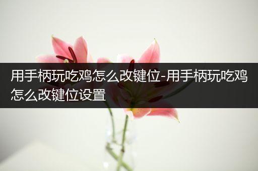 用手柄玩吃鸡怎么改键位-用手柄玩吃鸡怎么改键位设置
