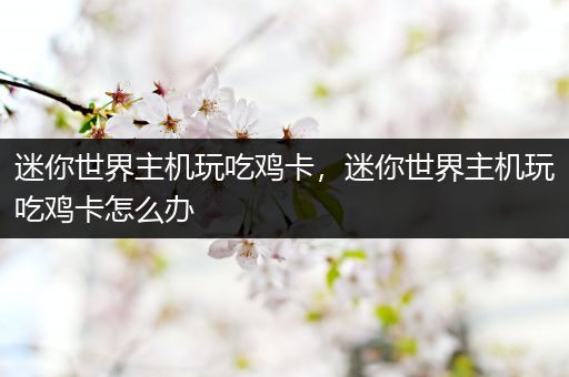 迷你世界主机玩吃鸡卡，迷你世界主机玩吃鸡卡怎么办
