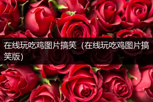 在线玩吃鸡图片搞笑（在线玩吃鸡图片搞笑版）