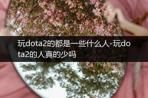 玩dota2的都是一些什么人-玩dota2的人真的少吗