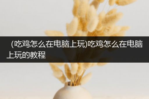 （吃鸡怎么在电脑上玩)吃鸡怎么在电脑上玩的教程