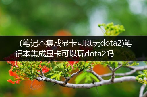 （笔记本集成显卡可以玩dota2)笔记本集成显卡可以玩dota2吗