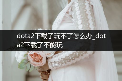 dota2下载了玩不了怎么办_dota2下载了不能玩