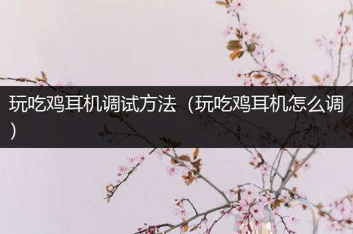 玩吃鸡耳机调试方法（玩吃鸡耳机怎么调）