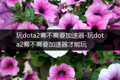 玩dota2需不需要加速器-玩dota2需不需要加速器才能玩