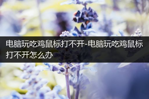 电脑玩吃鸡鼠标打不开-电脑玩吃鸡鼠标打不开怎么办